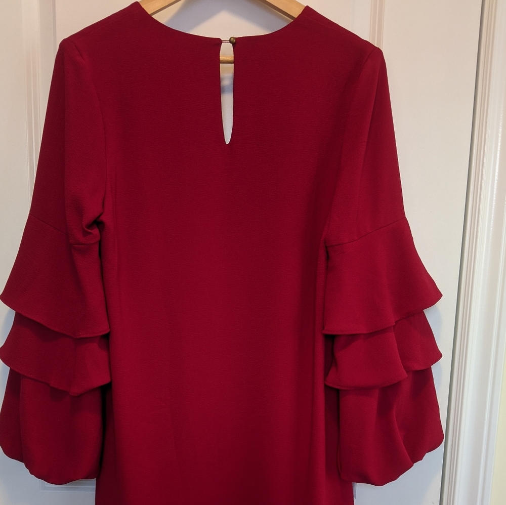 Charles Henry Red Mini Dress - Picture 4 of 7